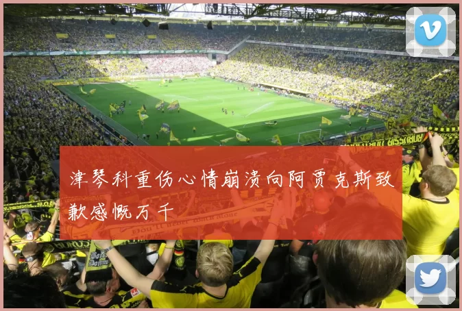 津琴科重伤心情崩溃向阿贾克斯致歉感慨万千